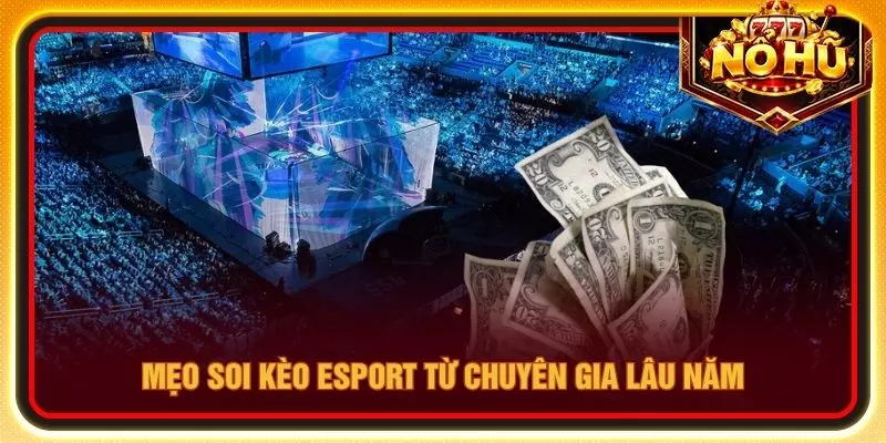 Mẹo soi kèo Esport từ chuyên gia lâu năm