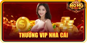 Thưởng VIP nhà cái