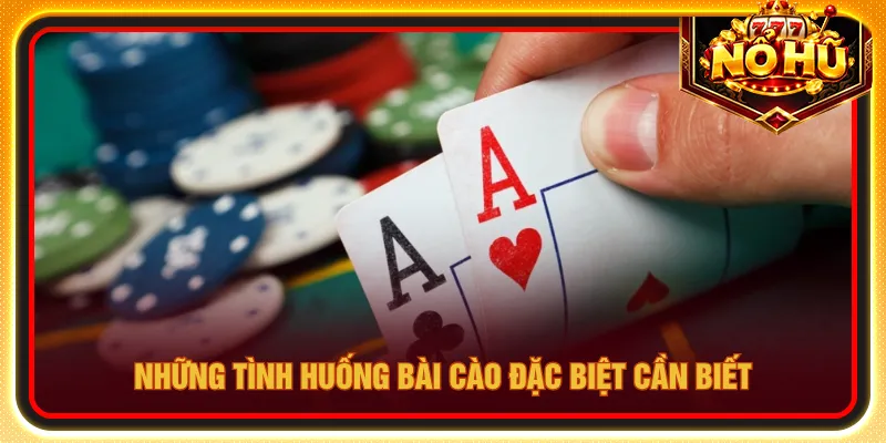 Trường hợp đặc biệt cần tận dụng tối ưu lợi nhuận lớn